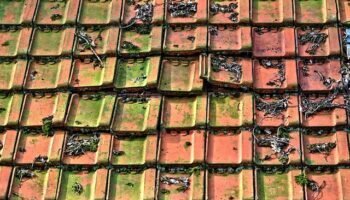 Home roof, tiles, tiled roof, roof tiles, ceramic, terracotta, concrete, red roof, red tiles, red roof tiles, row, overlap, sloping roof, building, construction, protection, structure, brown construction, roof, roof, roof, roof, roof, terracotta, overlap